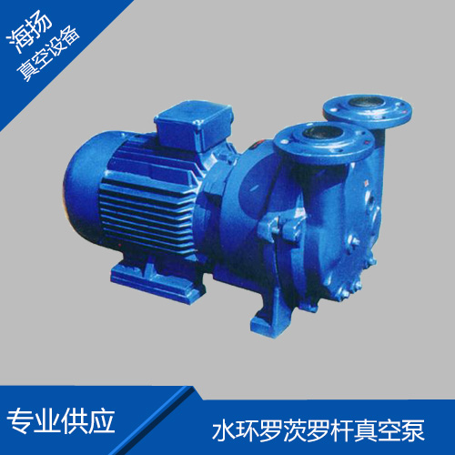 水环真空泵2BV51...