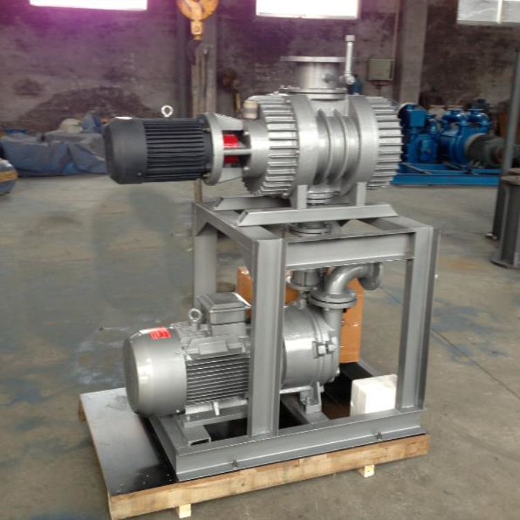 水环泵+罗茨泵机组